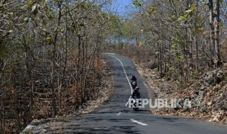 Gunung Kidul Selesai Bebaskan Lahan Ngalang-Tawang. Pepohonan meranggas di Panggang, Gunung Kidul, Yogyakarta (ilustrasi).