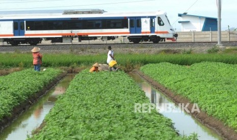 Kereta Api Bandara Melintas menuju Bandara Soekarno Hatta di Tangerang, Banten. ilustrasi