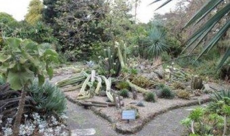 Aksi vandalisme hancurkan koleksi kaktus di Kebun Raya Royal Melbourne