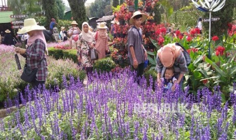 Aktivitas pengunjung di tempat wisata Taman Bunga Begonia, Jalan Maribaya, Kecamatan Lembang, Kabupaten Bandung Barat, Jumat (7/6).