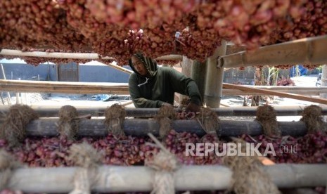 Petani mengeringkan bawang merah.