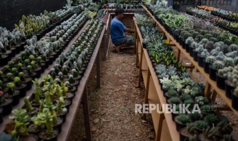 Peserta pameran Flona 2019 menyiapkan tumbuhan yang dipamerkan di Kawasan Lapangan Banteng, Jakarta, Jumat (6/9/2019).