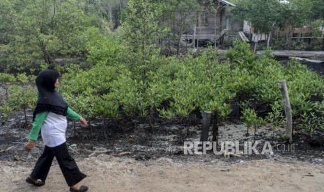 Sejumlah warga melintas di dekat tanaman mangrove di Pantai Bukit Batu, Bengkalis,.