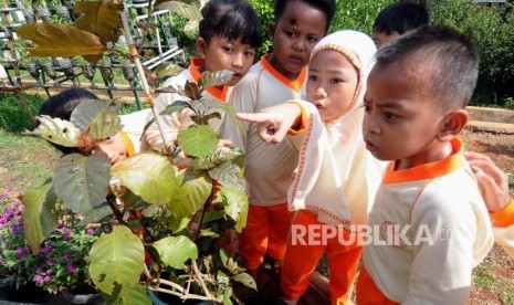 89 RA dan Pesantren Riau Sudah Terakreditasi. Siswa Raudhatul Athfal. Ilustrasi