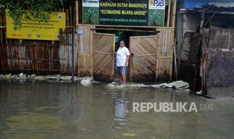 Warga melintasi genangan air saat terjadi banjir rob di kawasan Muara Angke, Jakarta Utara, Selasa (22/1).