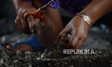 Sejumlah pekerja saat mengupas kerang di kawasan Muara Angke, Jakarta, Kamis (24/1).