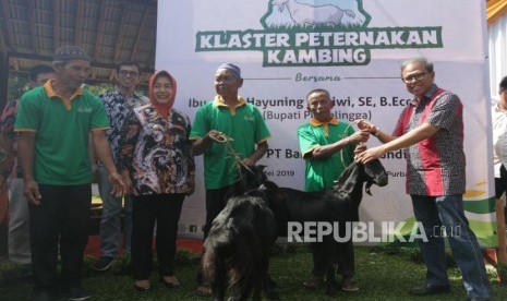 Program Desa BSM. Direktur Mandiri Syariah Putu Rahwidhiyasa (kanan), bersama Bupati Purbalingga Dyah Hayuning Pratiwi (ketiga kiri) menyerahkan kambing secara simbolis kepada peternak saat peluncuran Program Desa Berdaya Sejahtera Mandiri (BSM) di Klaster Peternakan Kambing di Purbalingga, Jawa Tengah, Jumat (3/5).