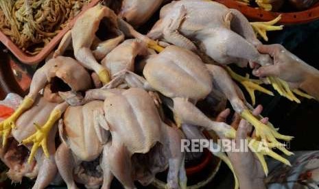 Pedagang menyiapkan ayam yang dijualnya di pasar.