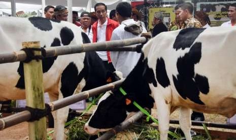 Presiden Joko Widodo (tengah) didampingi Menteri Pertanian Amran Sulaiman (kanan) dan Menteri Pekerjaan Umum dan Perumahan Rakyat (PUPR) Basuki Hadimuljono (kedua kiri) berbincang dengan peternak sapi saat menghadiri Jambore Peternakan Nasional 2017 di Buperta Cibubur, Jakarta, Minggu (24/9).