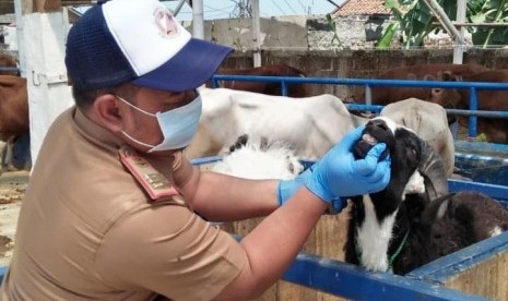 Ratusan Hewan Kurban di Bandung Barat Belum Cukup Umur