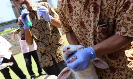 Iduladha Hari Kedua, Cianjur Pastikan Tak Ada Hewan Kurban Terindikasi Penyakit