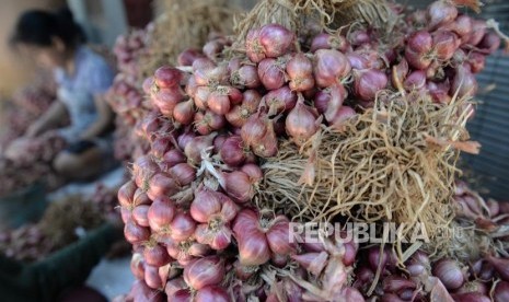 Harga Bawang Merah Anjlok. Petani bawang merah membersihkan bawang di Bantul, Yogyakarta, Selasa (1/10/2019).