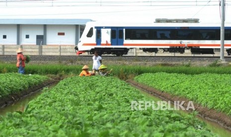 Kereta Api Bandara Melintas menuju Bandara Soekarno Hatta di Tangerang, Banten, Kamis (28/12).