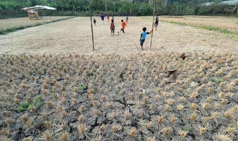 Darurat kekeringan di Kabupaten Garut sudah mulai merata di 42 kecamatan