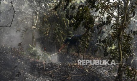 Sejumlah anggota TNI Kodim 0301/Pekanbaru saat berusaha memadamkan api yang menjalar di lahan gambut di kawasan Riau Ujung, Pekanbaru, Riau, Jumat (20/9).