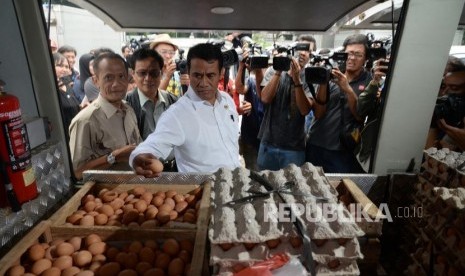 Operasi Pasar Telur Ayam. Menteri Pertanian Amran Sulaeman memeriksa telur ayam ras yang akan disitribusikan untuk operasi pasar di Toko Tani Indonesia Center (TIIC), Jakarta, Kamis (19/7).