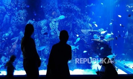 Sejumlah pengunjung mengamati berbagai jenis ikan yang berada di aquarium di Jakarta Aquarium, Jakarta, Senin (22/10).  Masyarakat disarankan untuk menerapkan lima langkah saat berwisata agar tetap aman dalam situasi pandemi COVID-19, di antaranya patuh terhadap protokol kesehatan.