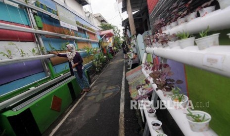 Warga mengurus tanaman vertical garden miliknya (ilustrasi)