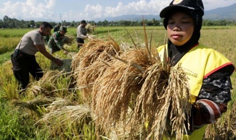 Kementan terus meningkatkan sarana dan prasarana Balai Penyuluh Pertanian tingkat kecamatan di seluruh kabupaten/kota se-Indonesia., Foto penyuluh pertanian, (ilustrasi).