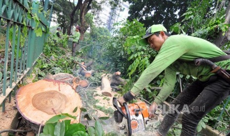 Antisipasi Pohon Tumbang. Petugas Dinas Pertamanan dan Pemakaman melakukan penebangan dahan pohon di Jalan Dr. Saharjo, Tebet, Jakarta Selatan, Kamis (19/10).