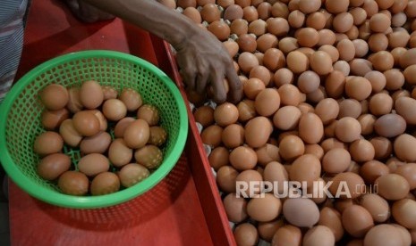 Harga Telur Ayam Naik Kembali. 