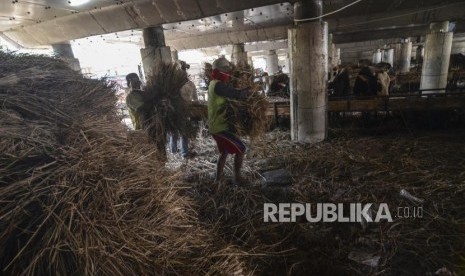 Terdapat sejumlah kriteria dan tuntunan memilih hewan qurban yang baik. Ilustrasi Hewan qurban.