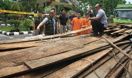 Direktur Reserse Kriminal Khusus Polda Riau, Kombes Pol Arif Gideon Setiawan (kanan) memeriksa barang bukti kayu hasil pembalakan liar, di Kota Pekanbaru, Kamis (11/10).