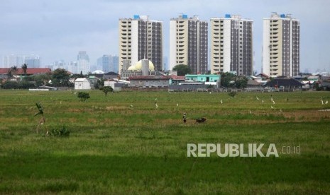 Petani membajak sawah di lahannya Kawasan Rotan Jaya, Jakarta Timur (ilustrasi)