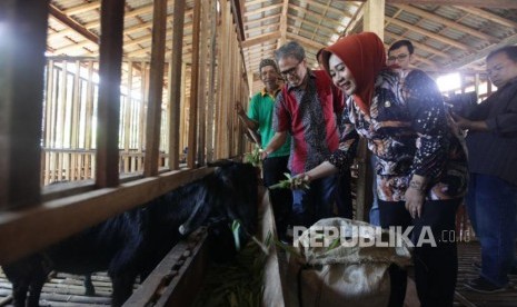 Bupati Purbalingga Dyah Hayuning Pratiwi (kanan) menginformasikan bahwa 38 pasien dalam pengawasan (PDP) di wilayah setempat telah dinyatakan sehat atau negatif COVID-19 dan telah dipulangkan ke rumah masing-masing.