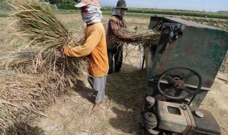 Petani merontokkan gabah saat panen di area persawahan Desa Doko, Kediri, Jawa Timur, Kamis (2/8).