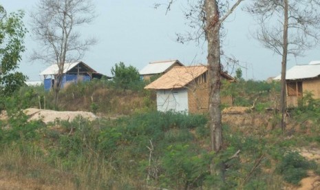 Hutan di Register 45, Mesuji, Lampung.