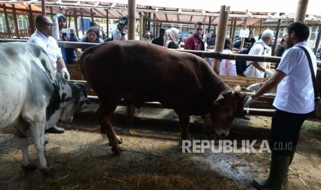 Petugas Dinas dan Pangan Kota Yogyakarta memeriksa kesehatan hewan kurban di Yogyakarta.