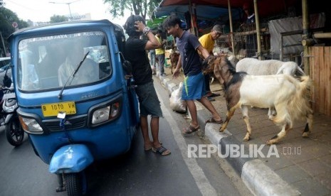 Pedagang menjual hewan kurban dengan memanfaatkan trotoar Jl KH Mas Mansyur, Tanah Abang, Jakarta, Jumat (9/8).