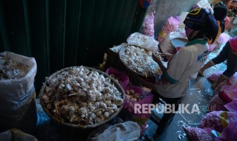 Pedagang menyortir bawang putih di Pasar Induk Kramat Jati, Jakarta, Selasa (29/5).