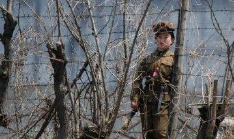 Tentara di perbatasan Korea 