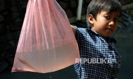 Anak-anak menunjukan belut yang sudah ditangkap di saluran air. Guru besar Farmasi Universitas Andalas (Unand) Padang Prof Febriyenti mengungkapkan belut atau monopterus albus dapat menjadi suplemen kesehatan dan obat luka karena mengandung protein hewani yang tinggi.