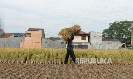 Penyusuran Sawah Perkotaan. 