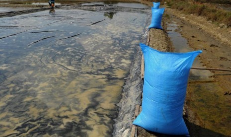 Petani memanen garam di lahan tambak di Kabupaten Pati, Jawa Tengah, Sabtu (15/7). 