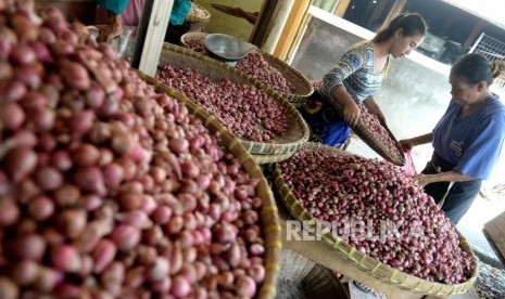 Harga Bawang. Pedagang bawang Merah dan bawang Putih di Pasar Beringharjo, DIY, Kamis (16/5/2019).