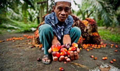 Komisi Uni Eropa Usulkan Pengenaan Tarif Biodiesel Asal Indonesia Hingga 18 Persen