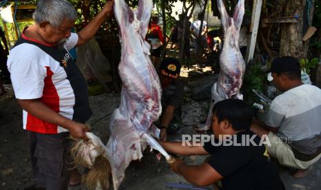 Qurban Polda Sumbar 59 Ekor Sapi dan 2 Ekor Kambing (ilustrasi).