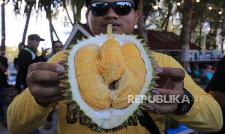 Jenis buah durian langka ditemukan di kawasan hutan produksi di Tabuah-tabuah. Ilustrasi.