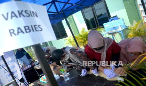 Ilustrasi vaksinasi rabies. Target vaksinasi rabies di NTT bisa capai 70 persen. 