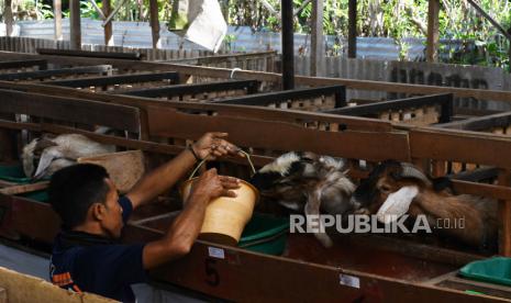 Garut Siapkan Rumah Potong Hewan Qurban Idul Adha