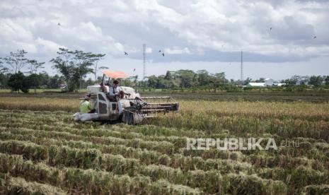 Hujan lebat disertai angin kencang diprediksi akan terjadi di Lebak, Senin (15/3) (Foto: ilustrasi)