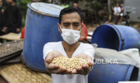 Perajin tempe menunjukkan kacang kedelai saat melakukan aksi unjuk rasa di kawasan Sentra Produksi Tempe, Cimanggis, Depok, Jawa Barat, Senin (21/2/2022). Aksi mogok produksi tersebut dilakukan selama tiga hari dikarenakan harga kacang kedelai sebagai bahan baku tahu-tempe dalam beberapa pekan terakhir mengalami peningkatan dari semula Rp 800 ribu per kwintal menjadi Rp 1,1 juta per kwintal. 