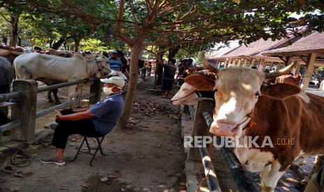 Makna Qurban Bagi Umat Islam dan Kisah Nabi Ismail