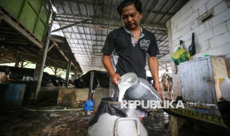 Peternak menyaring susu sapi di Sarang Qurban, Depok, Jawa Barat, Rabu (24/8/2022). 