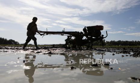 Petani menggunakan traktor tangan sebelum menanam padi di Aceh Besar, Aceh, Indonesia, (ilustrasi). Puluhan kelompok tani di Aceh Besar mendapat bantuan alat mesin pertanian (alsintan).