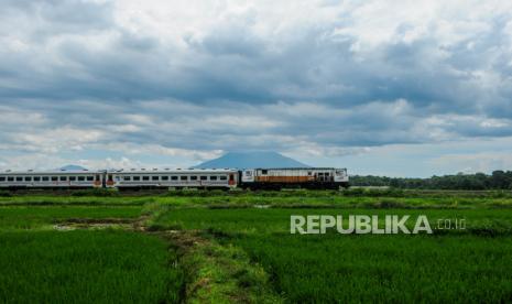 KA lokal Rangkasbitung-Merak melintas di Desa Cibadak, Lebak, Banten, Selasa (31/3/2020). PT KAI Daop 1 Jakarta menghentikan sementara perjalanan KA lokal Rangkasbitung-Merak mulai tanggal 1-14 April 2020 guna mencegah penyebaran COVID-19